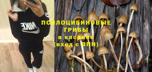 гидра Новокубанск
