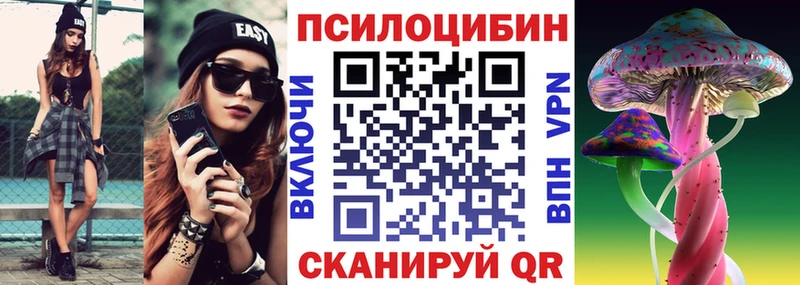 shop Telegram Тосно Псилоцибиновые грибы Psilocybe