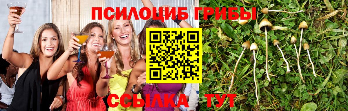 Галлюциногенные грибы Тосно