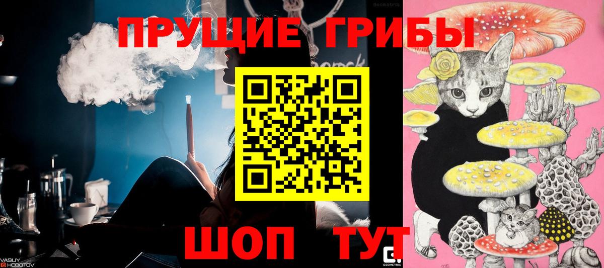 Псилоцибиновые грибы Psilocybe Тосно